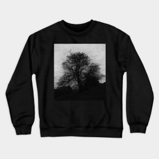 The Witches tree Crewneck Sweatshirt